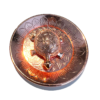 13 Vastu Schildpad